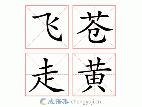 飞苍走黄图片